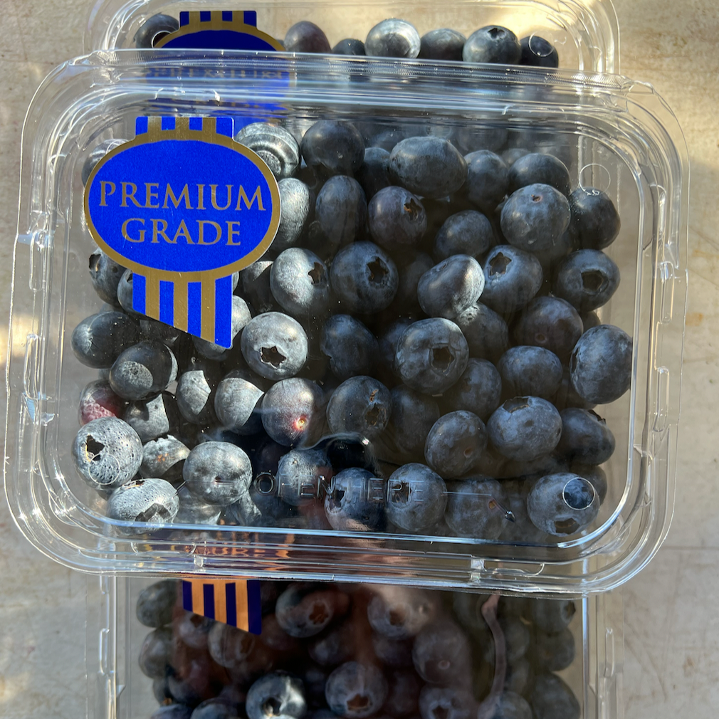 Giumarra to offer jumbo blueberries - Blueberry International